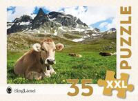 Demenz-Puzzle: Alpen. Das Demenz-Puzzle-Spiel mit 35 Puzzle-Teilen im XXL-Format.