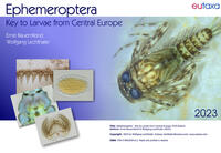 Ephemeroptera 23