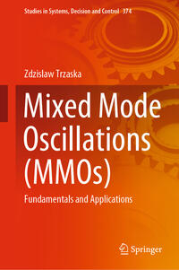 Mixed Mode Oscillations (MMOs)