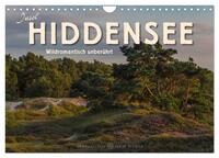 Insel Hiddensee - Wildromantisch unberührt (Wandkalender 2025 DIN A4 quer), CALVENDO Monatskalender