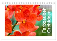 Farbzauber Orchideen (Tischkalender 2025 DIN A5 quer), CALVENDO Monatskalender