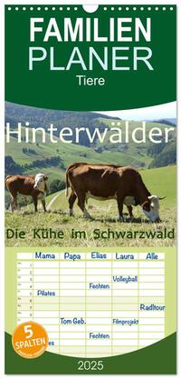 Familienplaner 2025 - Hinterwälder - Die Kühe aus dem Schwarzwald mit 5 Spalten (Wandkalender, 21 x 45 cm) CALVENDO