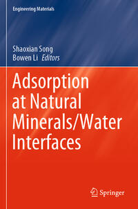 Adsorption at Natural Minerals/Water Interfaces