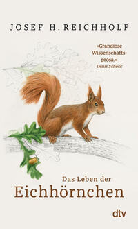 Das Leben der Eichhörnchen