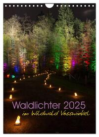 Waldlichter im Wildwald Vosswinkel 2025 (Wandkalender 2025 DIN A4 hoch), CALVENDO Monatskalender