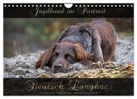 Jagdhund im Portrait - Deutsch Langhaar (Wandkalender 2025 DIN A4 quer), CALVENDO Monatskalender