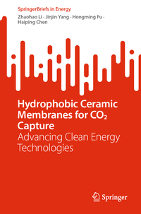 Hydrophobic Ceramic Membranes for CO2 Capture