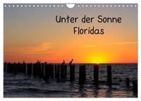 Unter der Sonne Floridas (Wandkalender 2025 DIN A4 quer), CALVENDO Monatskalender