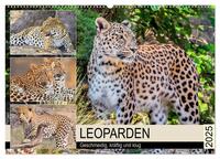 Leoparden. Geschmeidig, kräftig und klug (Wandkalender 2025 DIN A2 quer), CALVENDO Monatskalender