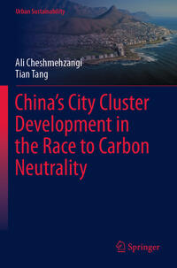 China’s City Cluster Development in the Race to Carbon Neutrality