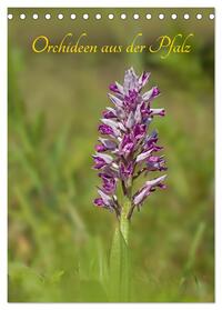 Orchideen aus der Pfalz (Tischkalender 2025 DIN A5 hoch), CALVENDO Monatskalender