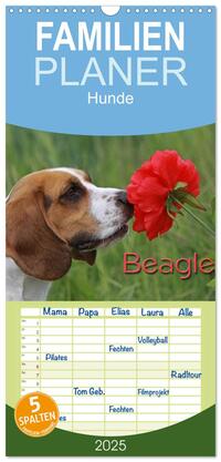 Familienplaner 2025 - Beagle mit 5 Spalten (Wandkalender, 21 x 45 cm) CALVENDO