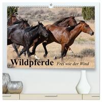 Wildpferde. Frei wie der Wind (hochwertiger Premium Wandkalender 2025 DIN A2 quer), Kunstdruck in Hochglanz