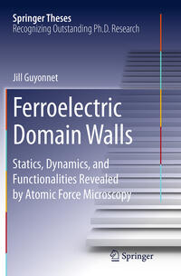 Ferroelectric Domain Walls