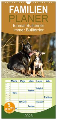 Familienplaner 2025 - Einmal Bullterrier - immer Bullterrier mit 5 Spalten (Wandkalender, 21 x 45 cm) CALVENDO