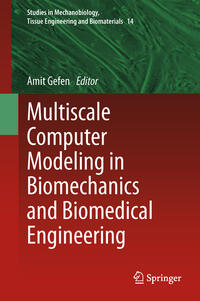 Multiscale Computer Modeling in Biomechanics and Biomedical Engineering