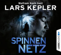 Spinnennetz