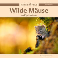 Wilde Mäuse und Spitzmäuse