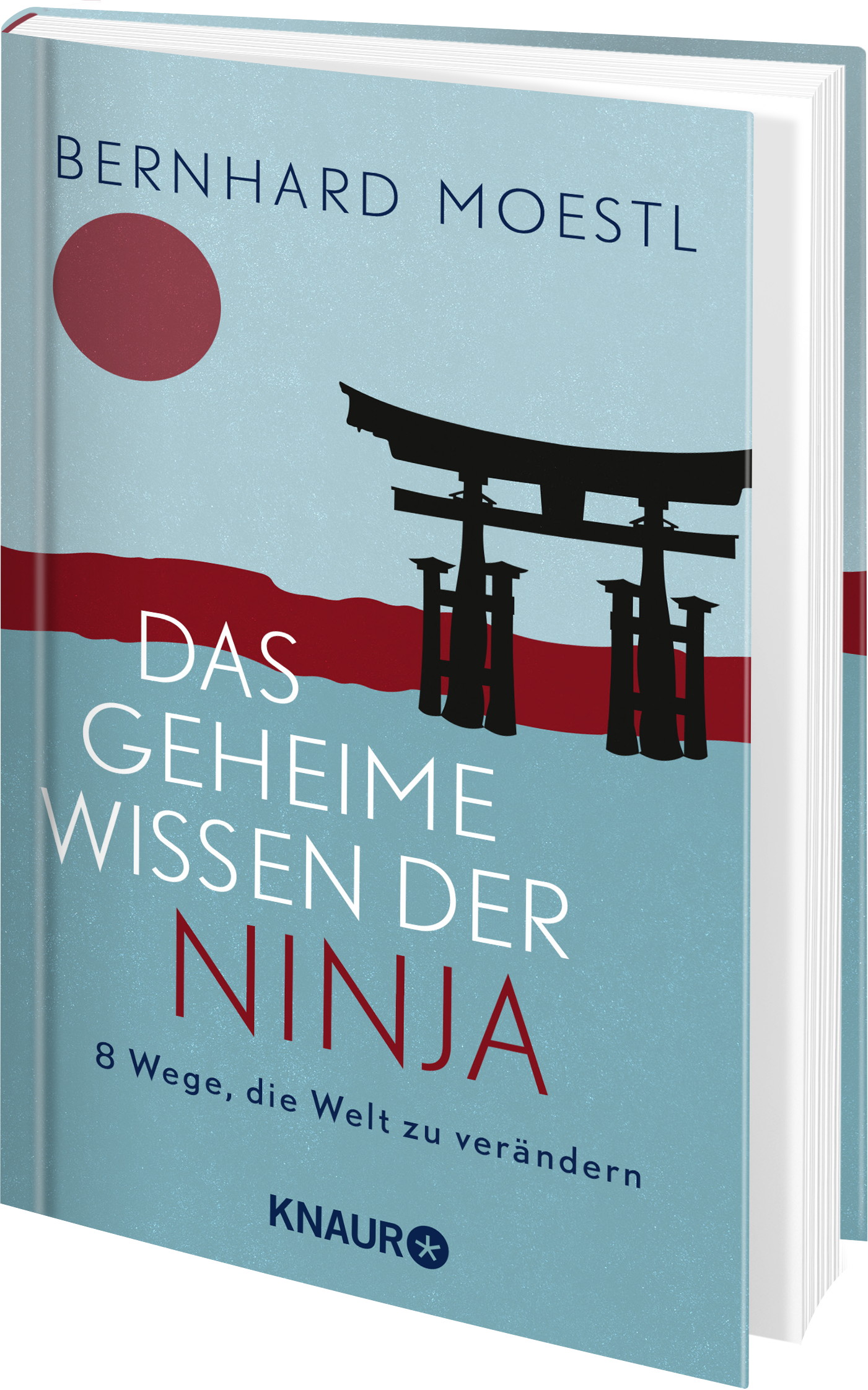 Das geheime Wissen der Ninja