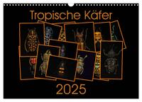 Tropische Käfer (Wandkalender 2025 DIN A3 quer), CALVENDO Monatskalender