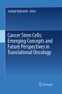 Cancer Stem Cells: Emerging Concepts and Future Perspectives in Translational Oncology