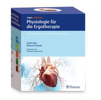 ergoLernkarten - Physiologie für die Ergotherapie