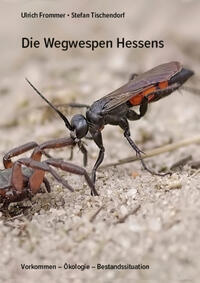 Die Wegwespen Hessens