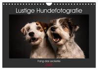 Fang das Leckerlie (Wandkalender 2025 DIN A4 quer), CALVENDO Monatskalender