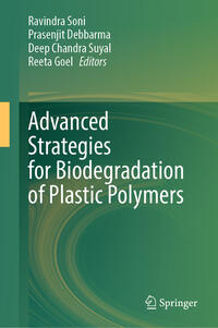 Advanced Strategies for Biodegradation of Plastic Polymers