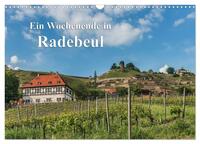 Ein Wochenende in Radebeul (Wandkalender 2025 DIN A3 quer), CALVENDO Monatskalender