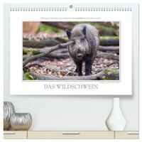 Emotionale Momente: Das Wildschwein. (hochwertiger Premium Wandkalender 2025 DIN A2 quer), Kunstdruck in Hochglanz