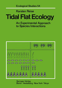 Tidal Flat Ecology