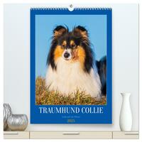 Traumhund Collie - Liebe auf vier Pfoten (hochwertiger Premium Wandkalender 2025 DIN A2 hoch), Kunstdruck in Hochglanz