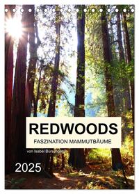 Redwoods - Faszination Mammutbäume (Tischkalender 2025 DIN A5 hoch), CALVENDO Monatskalender