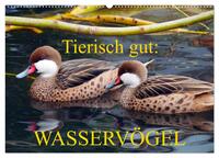 Tierisch gut: Wasservögel (Wandkalender 2025 DIN A2 quer), CALVENDO Monatskalender