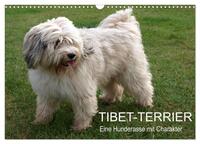 Tibet-Terrier - Eine Hunderasse mit Charakter (Wandkalender 2025 DIN A3 quer), CALVENDO Monatskalender