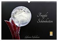 Fragile Schönheiten - Gefrorene Seifenblasen (Wandkalender 2025 DIN A3 quer), CALVENDO Monatskalender