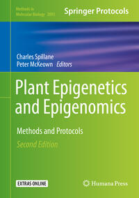 Plant Epigenetics and Epigenomics