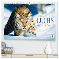 Dem Luchs auf der Spur (hochwertiger Premium Wandkalender 2026 DIN A2 quer), Kunstdruck in Hochglanz