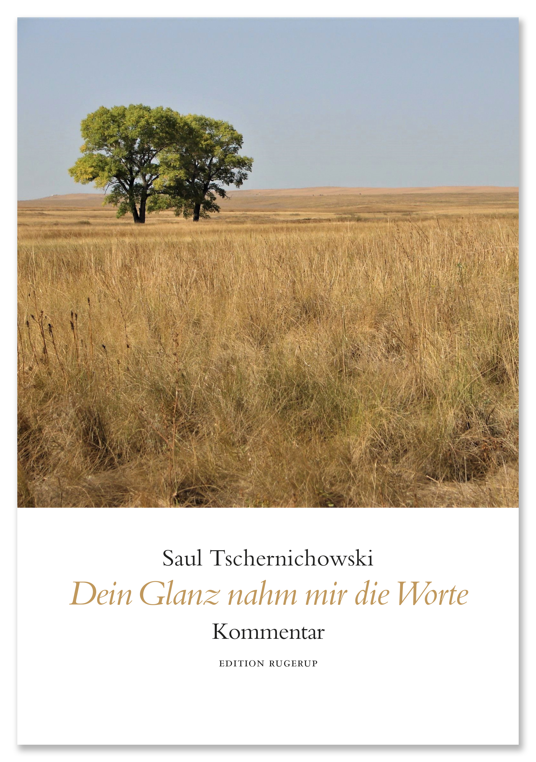 Dein Glanz nahm mir die Worte