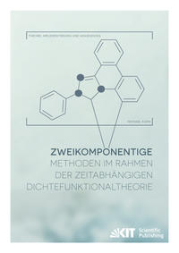 Zweikomponentige Methoden im Rahmen der zeitabhängigen Dichtefunktionaltheorie - Theorie, Implementierung und Anwendung