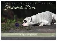 Fantastische Boxer - Sieger der Herzen (Tischkalender 2025 DIN A5 quer), CALVENDO Monatskalender