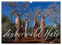 Zauberwald Ifaty · Traumhafte Baobabs in Madagaskar (Wandkalender 2025 DIN A3 quer), CALVENDO Monatskalender