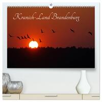 Kranich-Land Brandenburg (hochwertiger Premium Wandkalender 2025 DIN A2 quer), Kunstdruck in Hochglanz