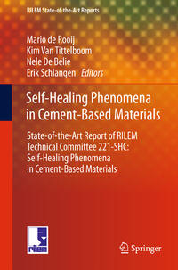 Self-Healing Phenomena in Cement-Based Materials