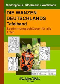 Die Wanzen Deutschlands II