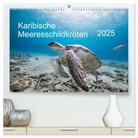 Karibische Meeresschildkröten (hochwertiger Premium Wandkalender 2025 DIN A2 quer), Kunstdruck in Hochglanz