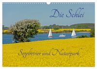 Die Schlei - Segelrevier und Naturpark (Wandkalender 2025 DIN A3 quer), CALVENDO Monatskalender