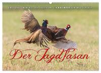 Emotionale Momente: Der Jagdfasan. (Wandkalender 2025 DIN A2 quer), CALVENDO Monatskalender