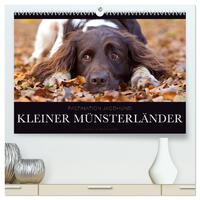 Faszination Jagdhund - Kleiner Münsterländer (hochwertiger Premium Wandkalender 2025 DIN A2 quer), Kunstdruck in Hochglanz